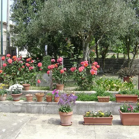 Il Melograno Da Maria *