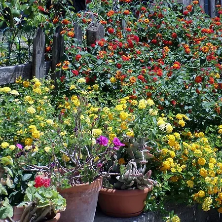Bed & Breakfast Il Melograno Da Maria